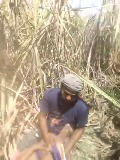 Desi Village Gangbang with GF in Khet XXX Viral Video
